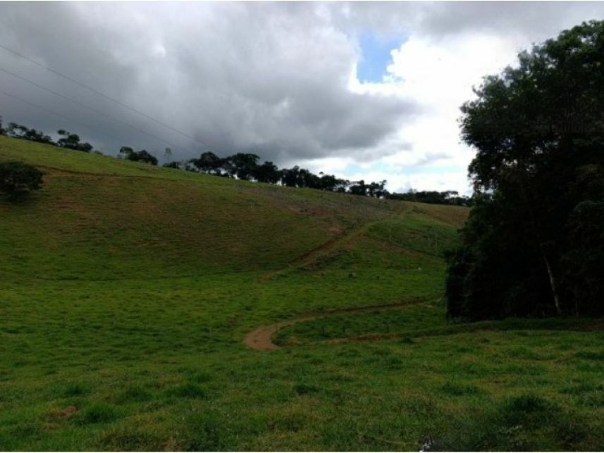 Imagem 6 do Leilão de Área Rural - Zona Rural - Duas Barras/RJ