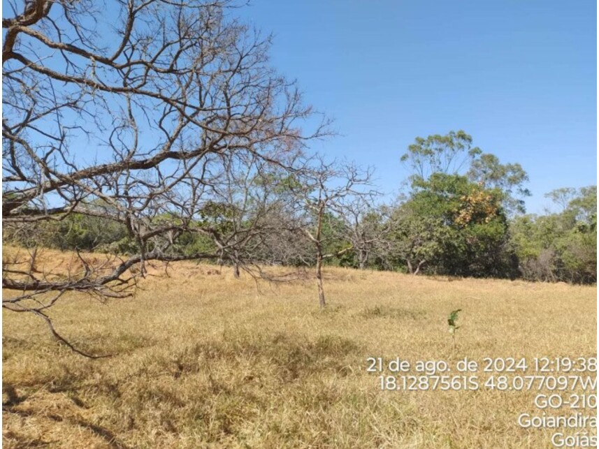 Imagem 3 do Leilão de Terreno - Zona Rural - Catalão/GO