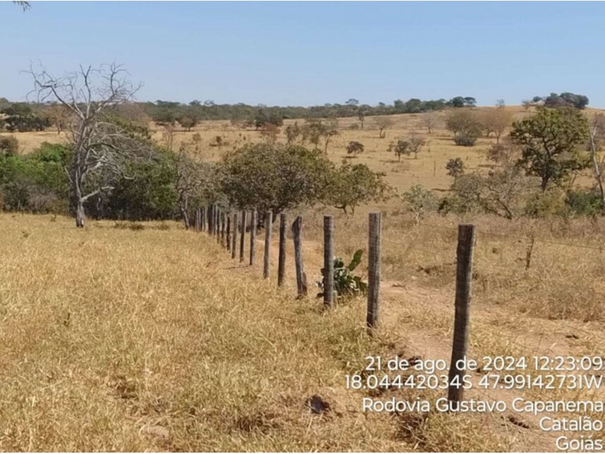 Imagem 13 do Leilão de Terreno - Zona Rural - Catalão/GO