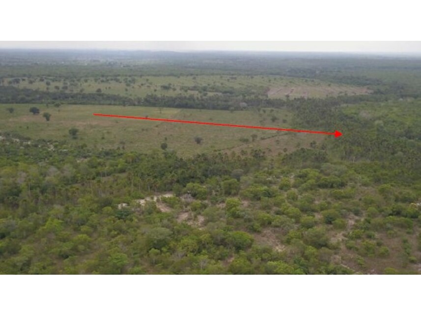 Imagem 2 do Leilão de Terreno - Zona Rural - Lajeado Novo/MA
