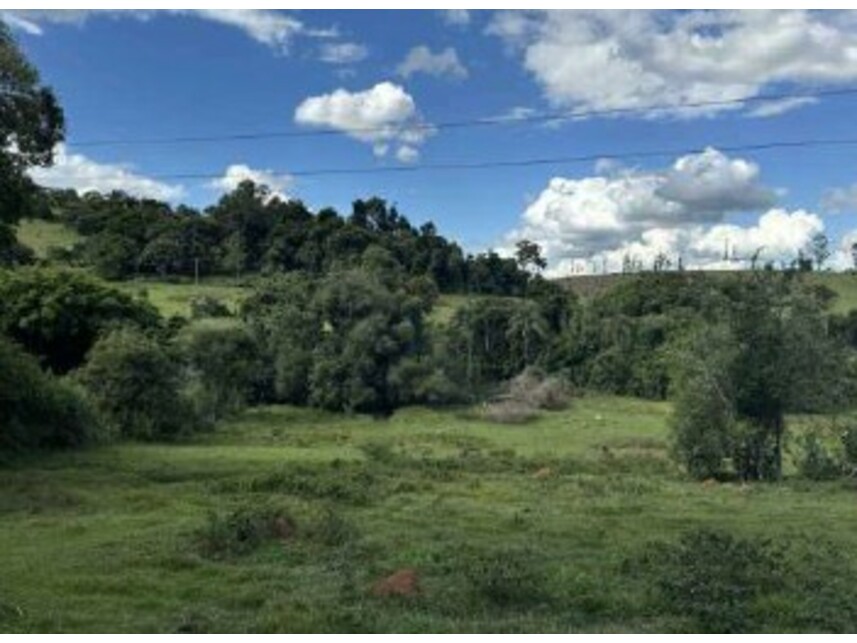 Imagem 4 do Leilão de Área Rural - Zona Rural - Silvianópolis/MG