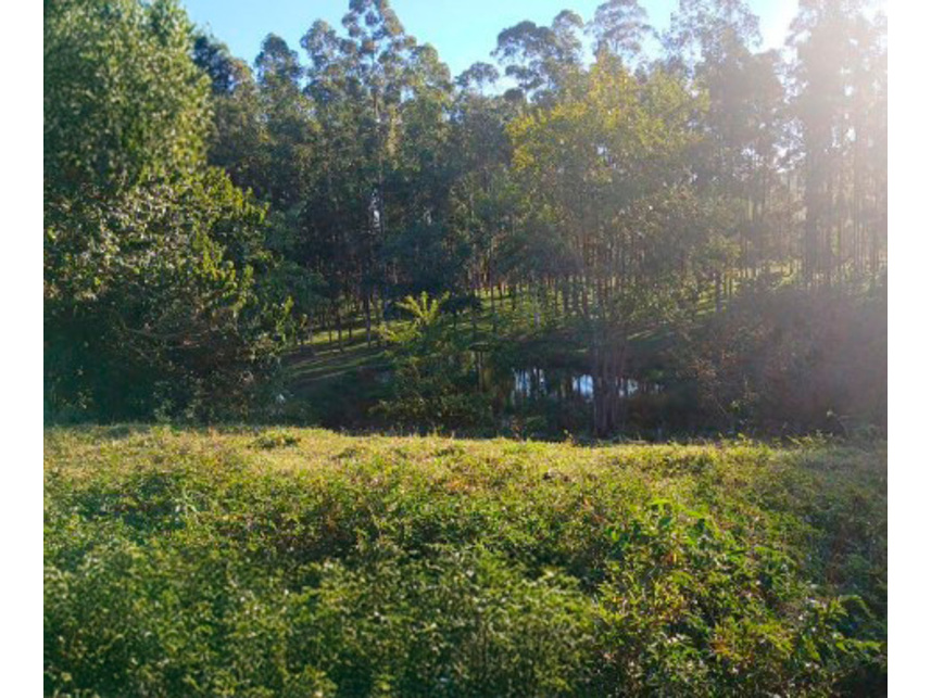 Imagem 8 do Leilão de Área Rural - Zona Rural - Silvianópolis/MG
