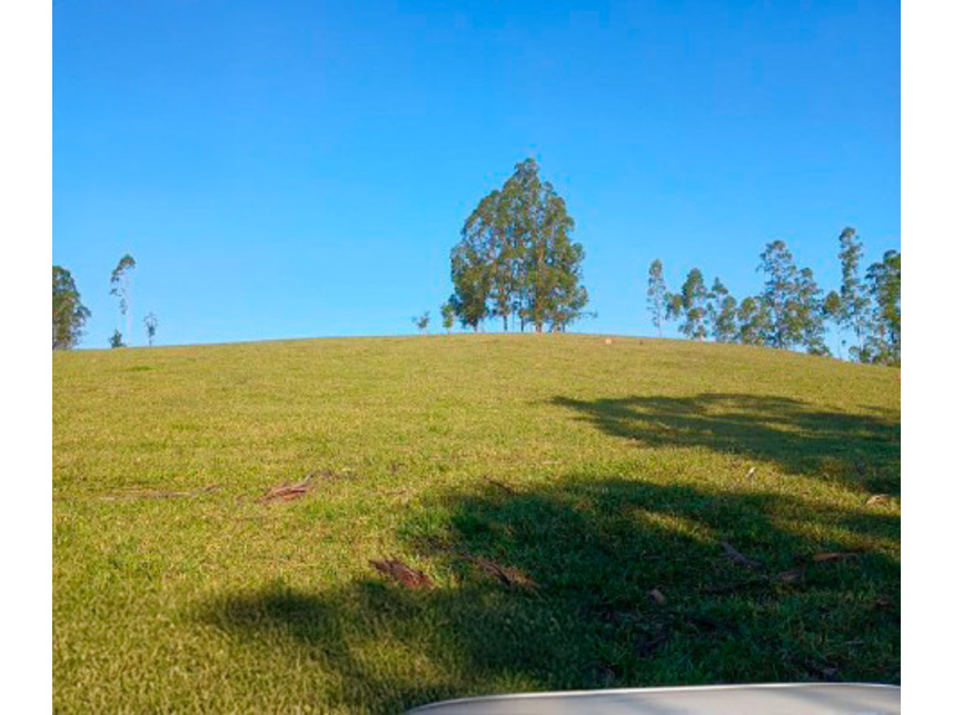 Imagem 18 do Leilão de Área Rural - Zona Rural - Silvianópolis/MG
