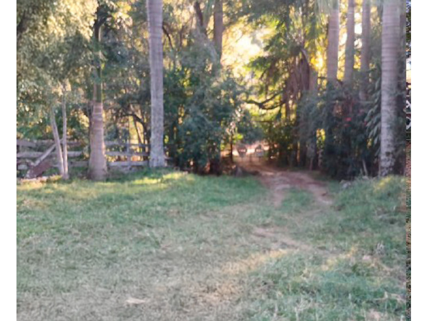 Imagem 13 do Leilão de Área Rural - Zona Rural - Silvianópolis/MG