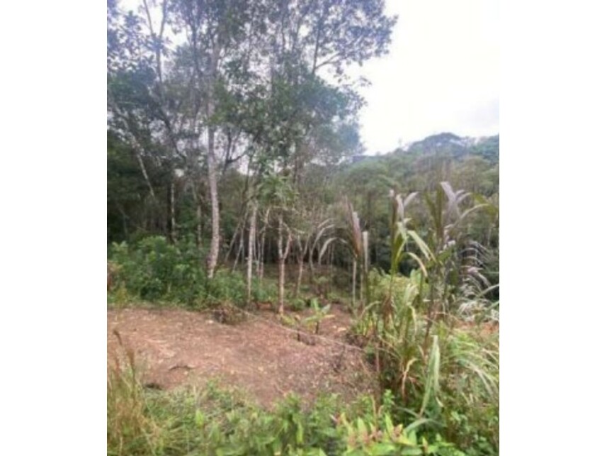 Imagem 14 do Leilão de Terreno c/Benfeitorias - Parelheiros - São Paulo/SP
