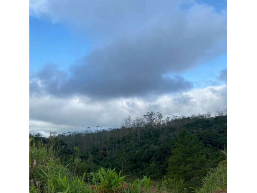 Imagem 20 do Leilão de Terreno c/Benfeitorias - Parelheiros - São Paulo/SP