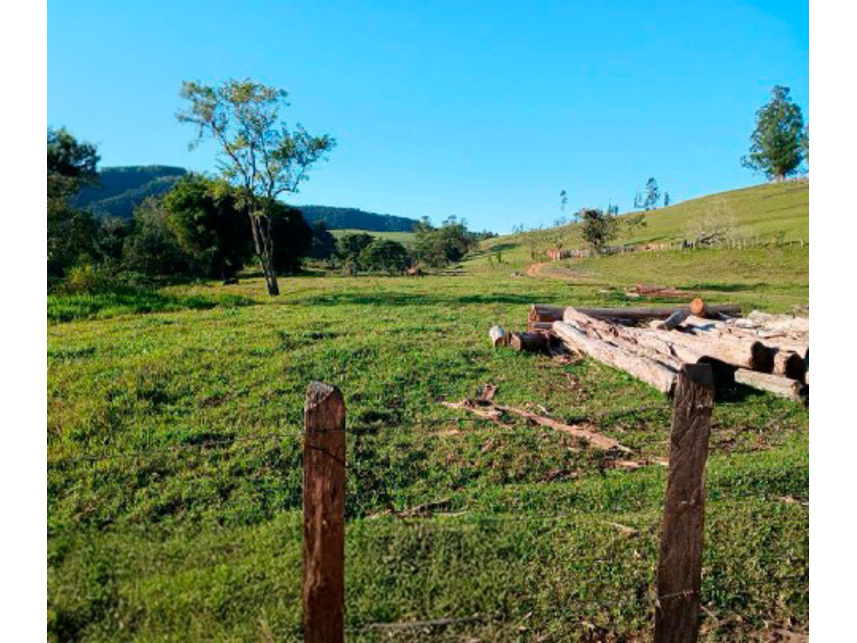 Imagem 21 do Leilão de Área Rural - Zona Rural - Silvianópolis/MG