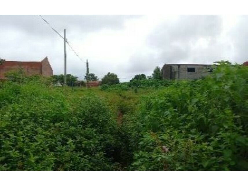 Imagem 5 do Leilão de Terreno - Jardim das Acácias - Paraíso do Tocantins/TO
