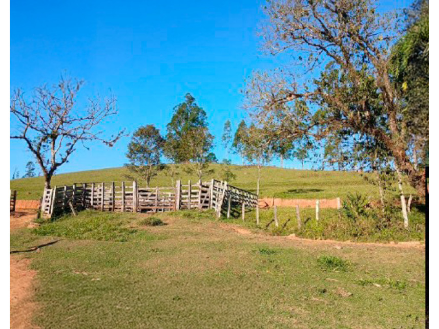 Imagem 20 do Leilão de Área Rural - Zona Rural - Silvianópolis/MG