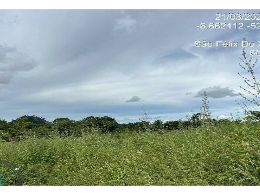 Imagem 10 do Leilão de Chácara - Zona Rural - São Félix do Xingu/PA