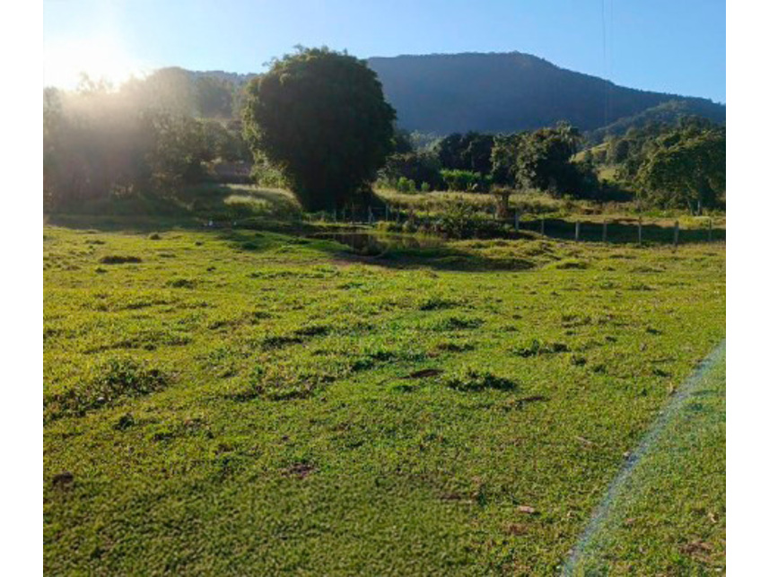 Imagem 19 do Leilão de Área Rural - Zona Rural - Silvianópolis/MG