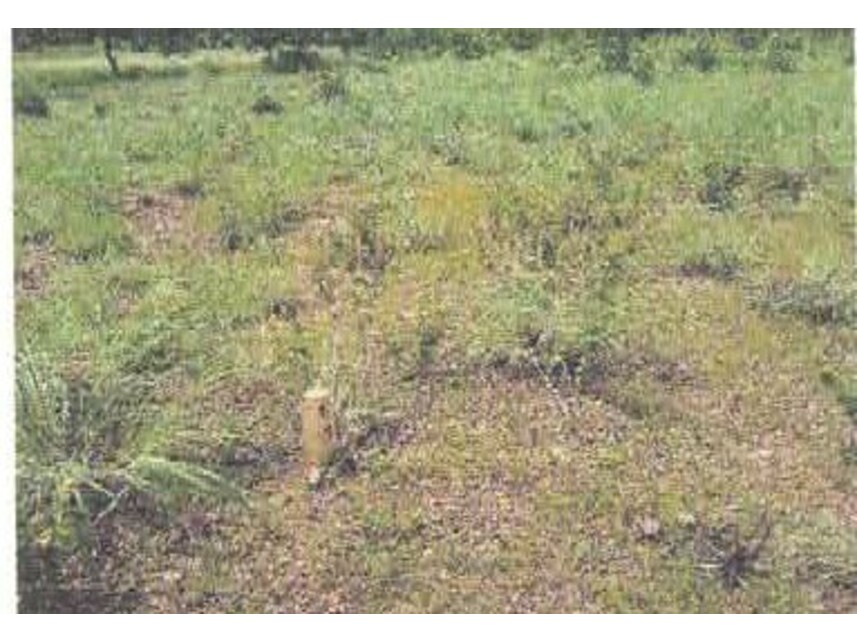 Imagem 2 do Leilão de Terreno - Vila Klareana I - Cuiabá/MT