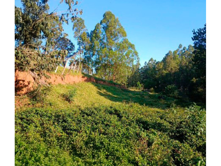 Imagem 9 do Leilão de Área Rural - Zona Rural - Silvianópolis/MG