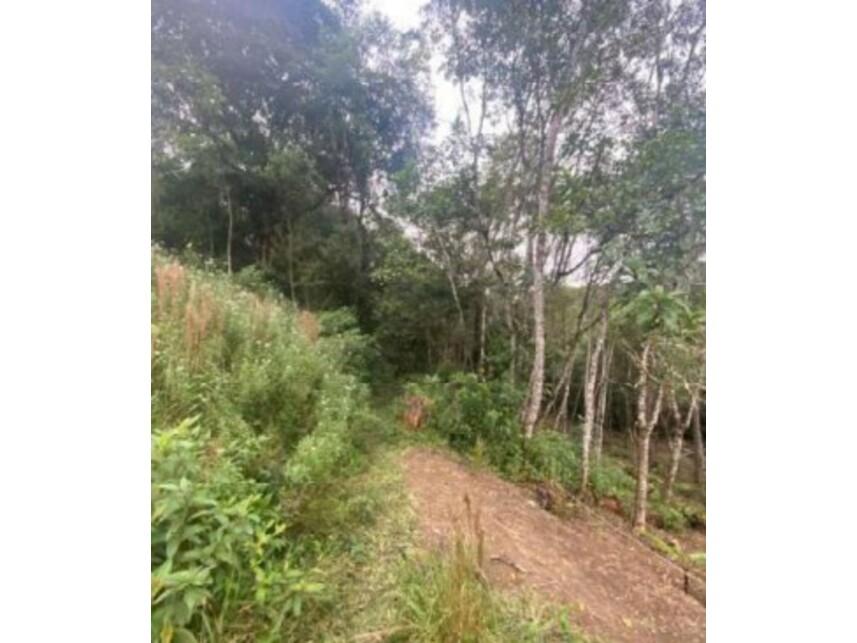 Imagem 15 do Leilão de Terreno c/Benfeitorias - Parelheiros - São Paulo/SP