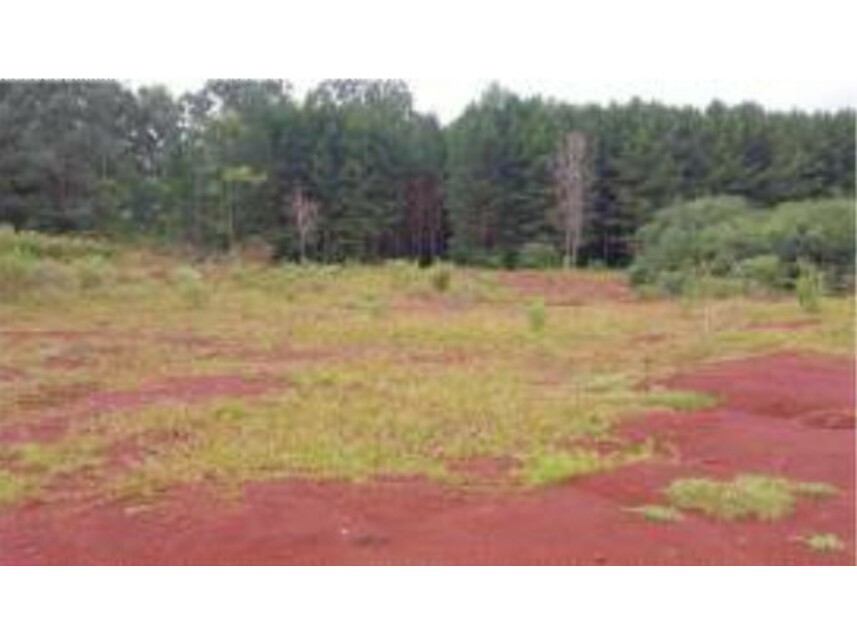 Imagem 2 do Leilão de Terreno - Santo Antônio - Santa Maria do Oeste/PR