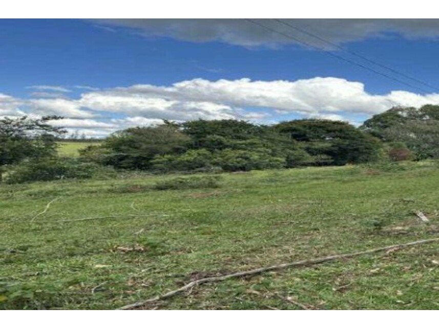 Imagem 3 do Leilão de Área Rural - Zona Rural - Silvianópolis/MG
