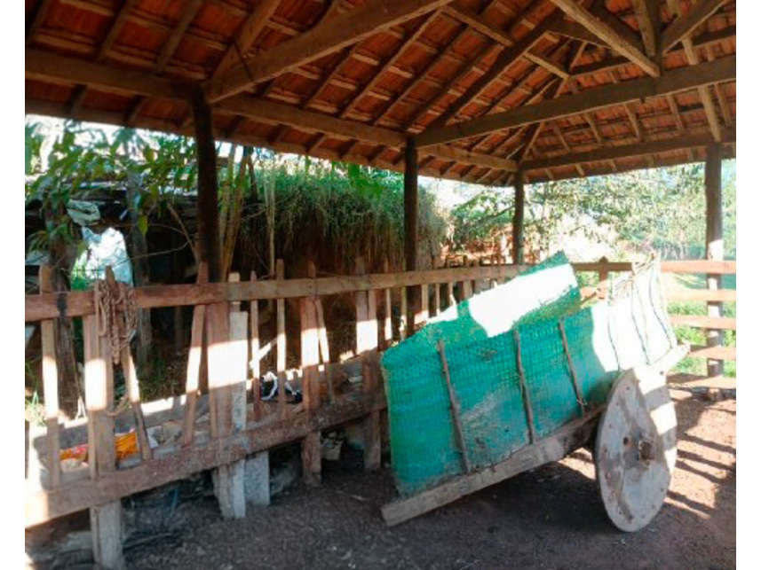Imagem 11 do Leilão de Área Rural - Zona Rural - Silvianópolis/MG