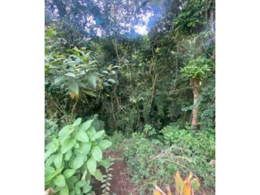 Imagem 16 do Leilão de Terreno c/Benfeitorias - Parelheiros - São Paulo/SP