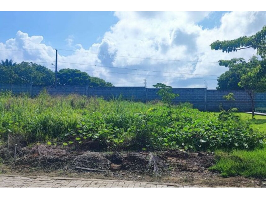 Imagem 3 do Leilão de Terreno - São Cristóvão - Santa Inês/MA