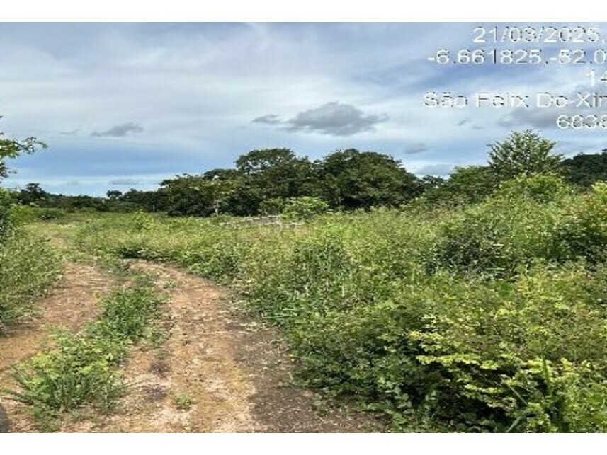 Imagem 11 do Leilão de Chácara - Zona Rural - São Félix do Xingu/PA
