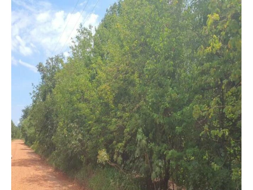 Imagem 1 do Leilão de Terreno - Loteamento Tarumã - Cuiabá/MT
