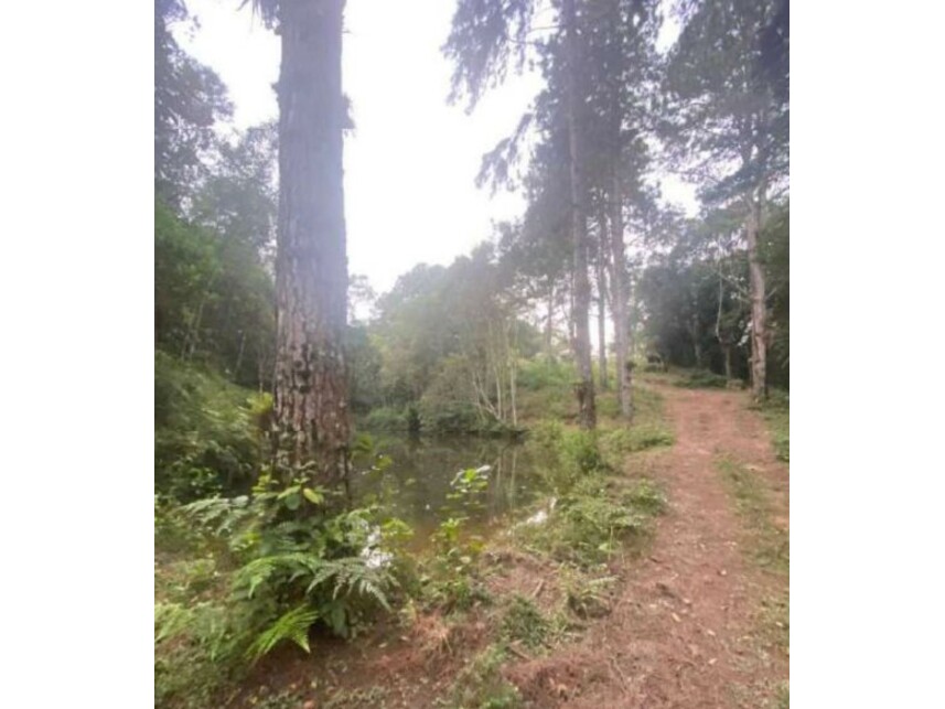 Imagem 9 do Leilão de Terreno c/Benfeitorias - Parelheiros - São Paulo/SP