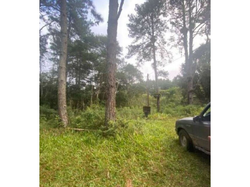 Imagem 7 do Leilão de Terreno c/Benfeitorias - Parelheiros - São Paulo/SP