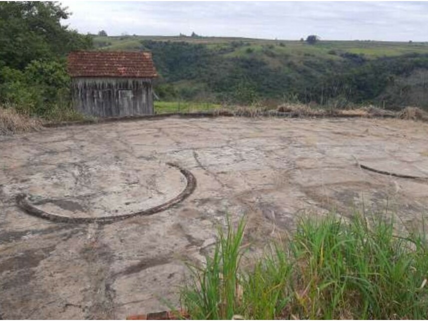 Imagem 3 do Leilão de Sítio - Fazenda Ribeirão da Garça/Colônia Portuguesa - Vera Cruz/SP