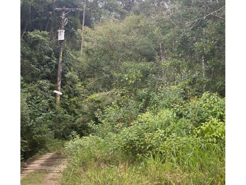 Imagem 3 do Leilão de Terreno c/Benfeitorias - Parelheiros - São Paulo/SP