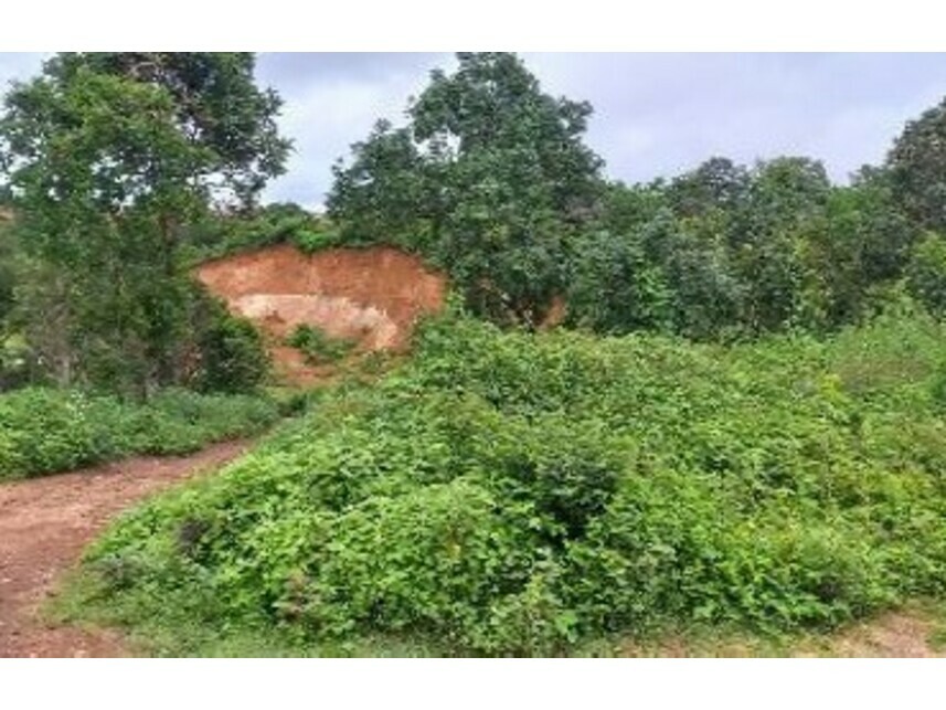 Imagem 6 do Leilão de Terreno - Jardim das Acácias - Paraíso do Tocantins/TO