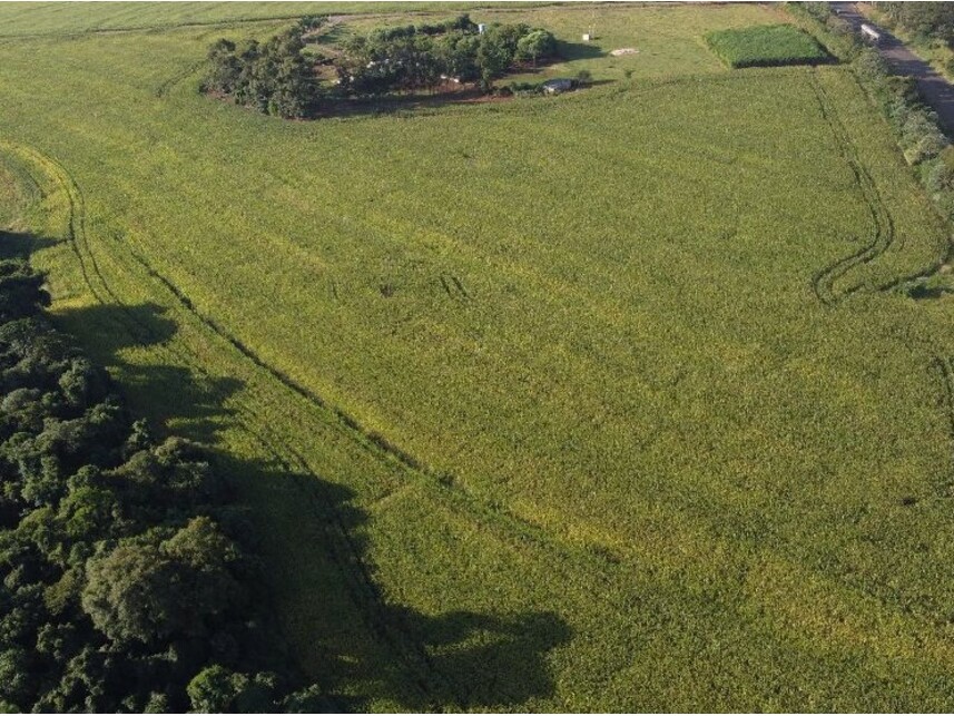 Imagem 2 do Leilão de Área Rural - Zona Rural - Campo Mourão/PR
