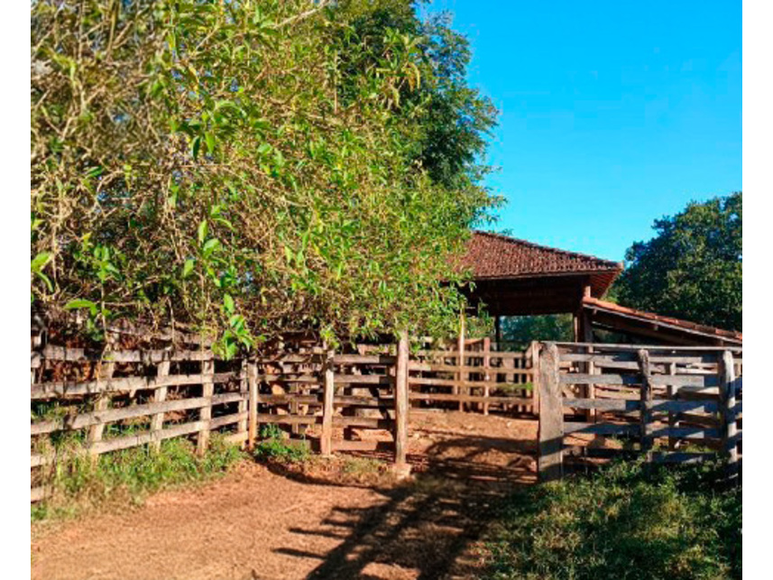 Imagem 10 do Leilão de Área Rural - Zona Rural - Silvianópolis/MG