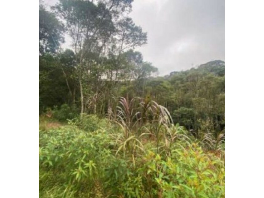 Imagem 13 do Leilão de Terreno c/Benfeitorias - Parelheiros - São Paulo/SP