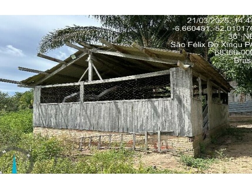 Imagem 8 do Leilão de Chácara - Zona Rural - São Félix do Xingu/PA