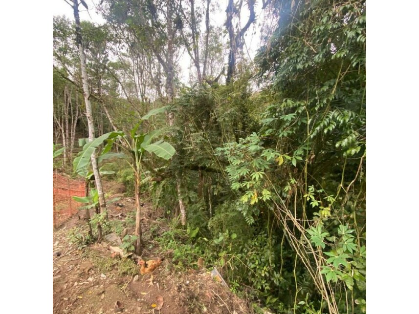 Imagem 17 do Leilão de Terreno c/Benfeitorias - Parelheiros - São Paulo/SP