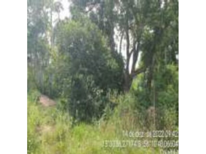 Imagem 4 do Leilão de Terreno - Loteamento Tarumã - Cuiabá/MT