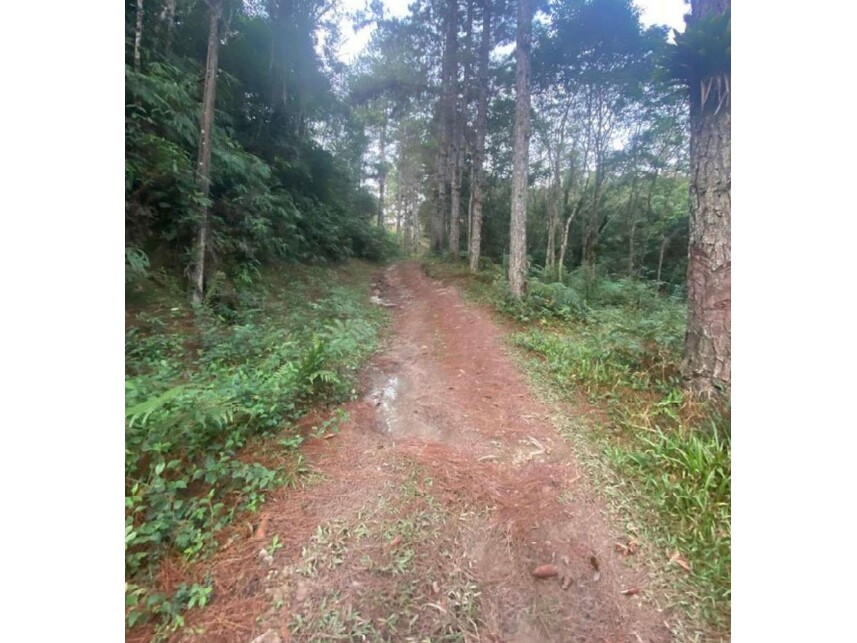 Imagem 8 do Leilão de Terreno c/Benfeitorias - Parelheiros - São Paulo/SP