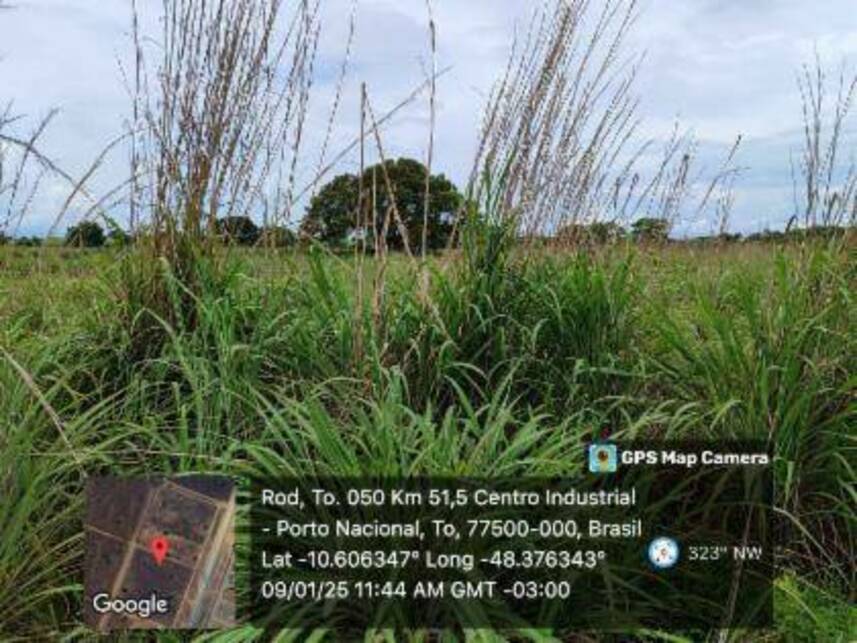 Imagem 12 do Leilão de Terreno - Jardim América - Porto Nacional/TO