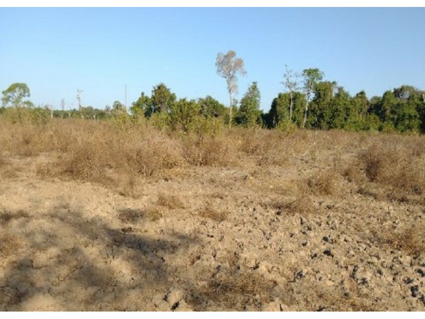 Imagem 5 do Leilão de Área Rural - Zona Rural - Lagoa da Confusão/TO