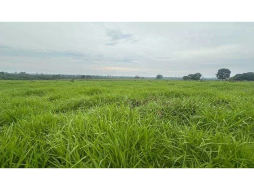 Imagem 1 do Leilão de Área Rural - Zona Rural - Nova Bandeirantes/MT