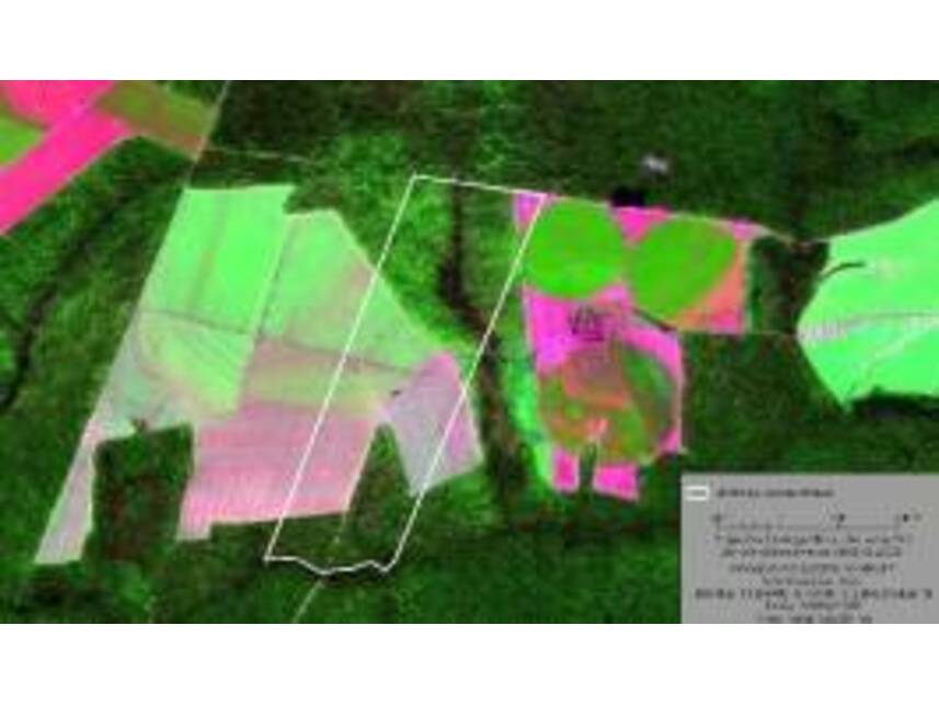Imagem 3 do Leilão de Área Rural - Zona Rural - Nova Maringá/MT