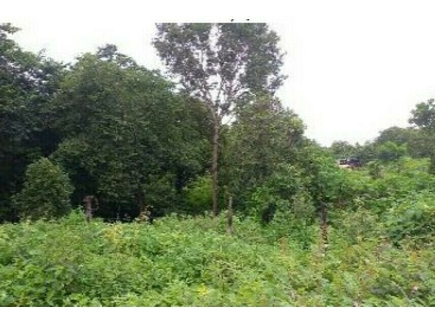 Imagem  do Leilão de Terreno - Jardim das Acácias - Paraíso do Tocantins/TO