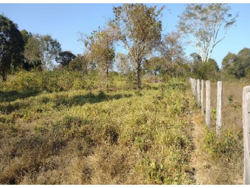 Imagem 6 do Leilão de Área Rural - Zona Rural - Lagoa da Confusão/TO