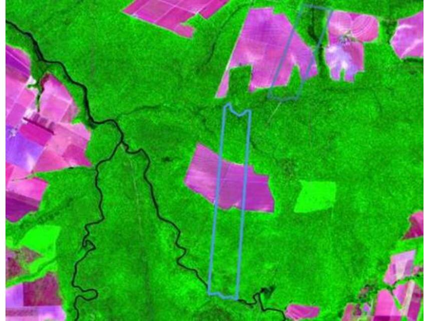 Imagem 4 do Leilão de Área Rural - Zona Rural - Nova Maringá/MT