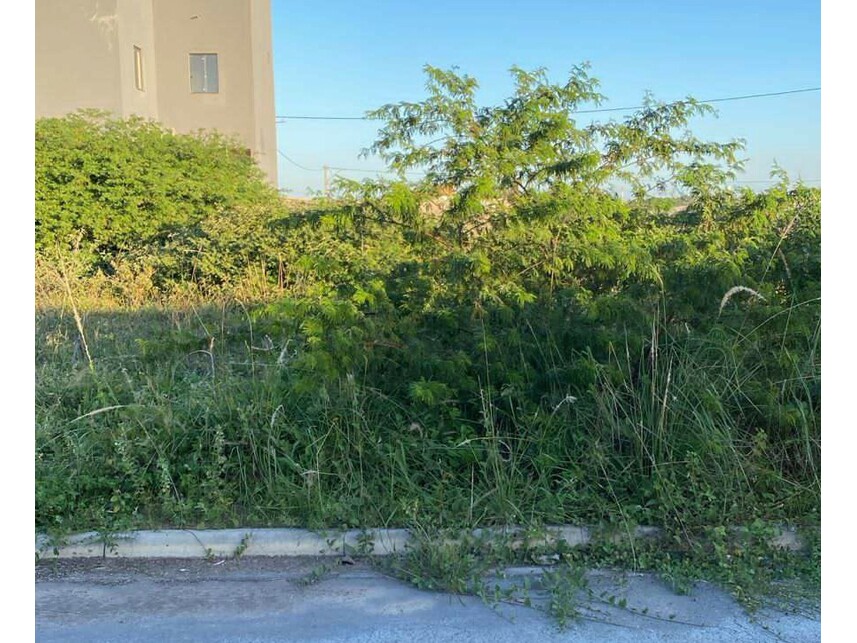 Imagem 4 do Leilão de Terreno - Registro - Feira de Santana/BA
