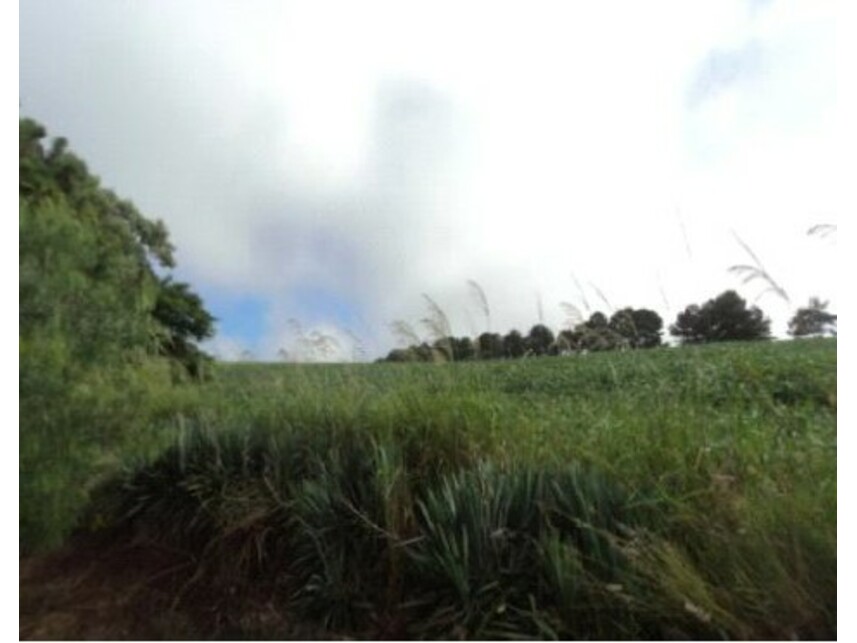 Imagem 4 do Leilão de Gleba Rural - Gleba Ribeirão Bandeirantes do Norte - Arapongas/PR