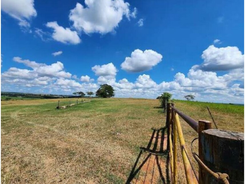 Imagem 10 do Leilão de Fazenda - Área Rural de Getulina - Getulina/SP