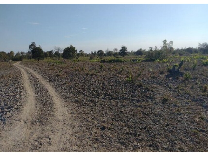 Imagem 2 do Leilão de Área Rural - Zona Rural - Lagoa da Confusão/TO