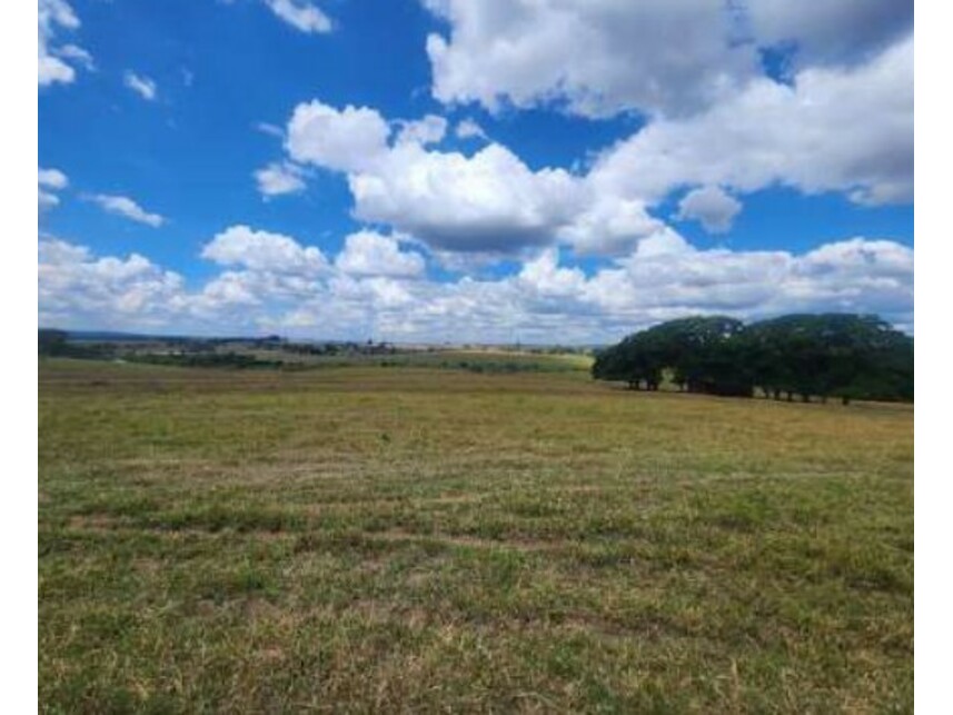 Imagem 25 do Leilão de Fazenda - Área Rural de Getulina - Getulina/SP