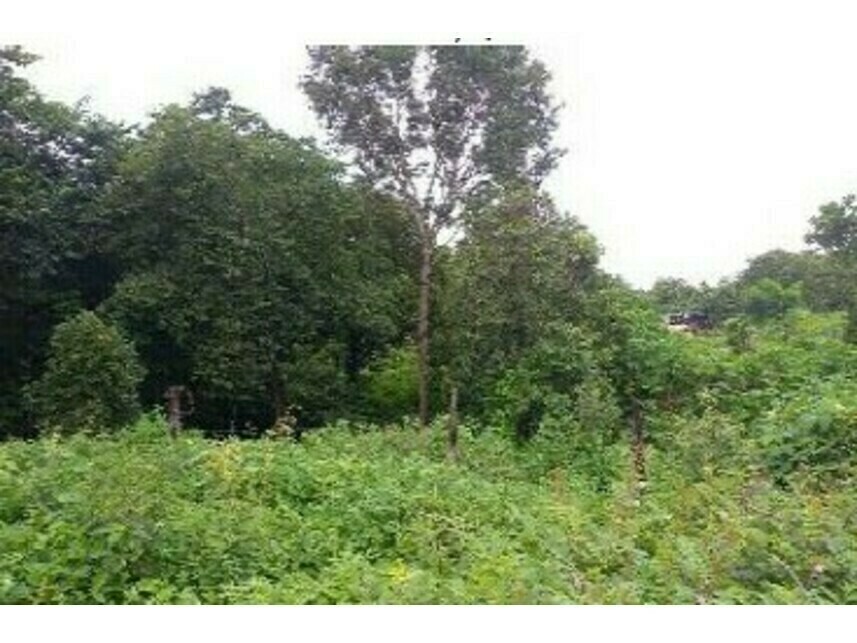 Imagem  do Leilão de Terreno - Jardim das Acácias - Paraíso do Tocantins/TO